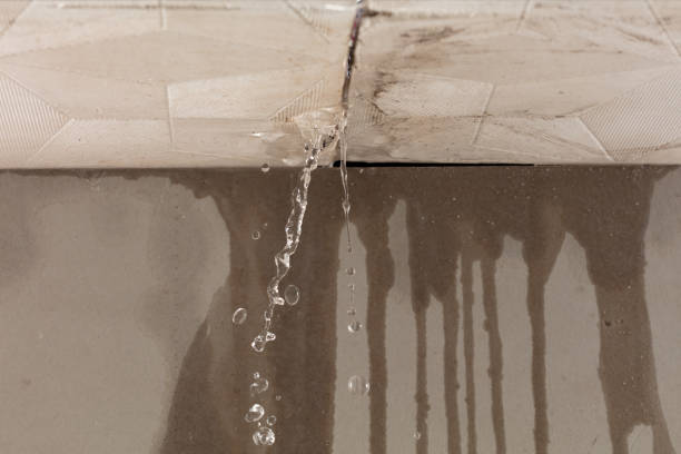 Professional Sewage Cleanup technician working in Montgomery, IL